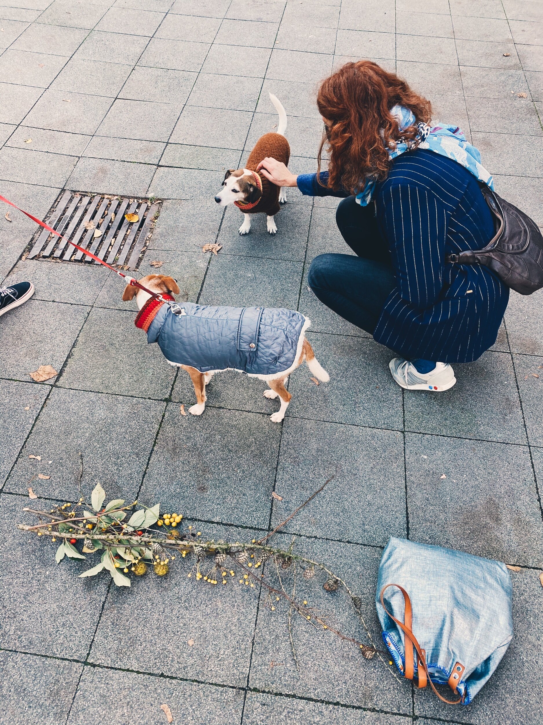 Meeting furry friends with stylish sweaters on